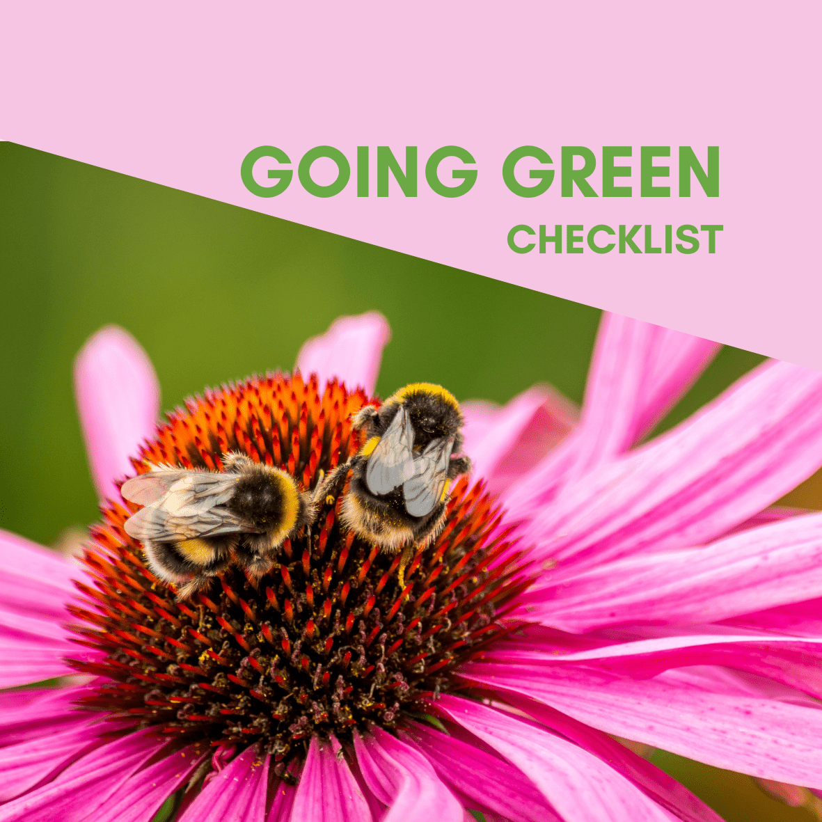Going Green Checklist